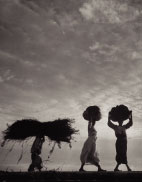 aboutkimchi_sidebar1